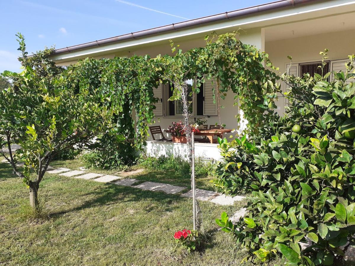Villa Pusortu Orosei Exterior foto