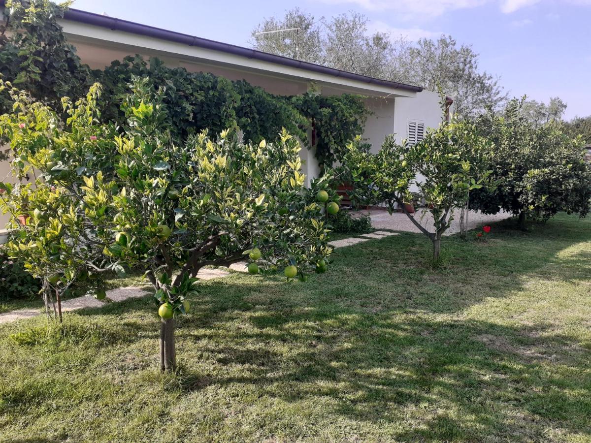Villa Pusortu Orosei Exterior foto